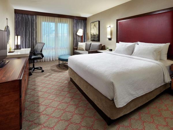Hilton Garden Inn San Diego Old Town/Sea World Area : photo 2 de la chambre chambre lit king-size avec canapé-lit
