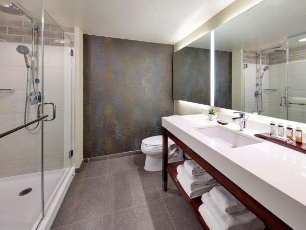 Hilton Garden Inn San Diego Old Town/Sea World Area : photo 5 de la chambre chambre lit king-size de luxe avec canapé-lit