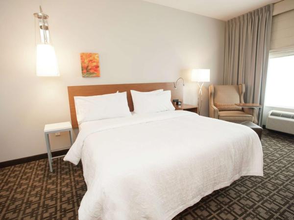 Hilton Garden Inn San Antonio-Live Oak Conference Center : photo 1 de la chambre chambre lit king-size