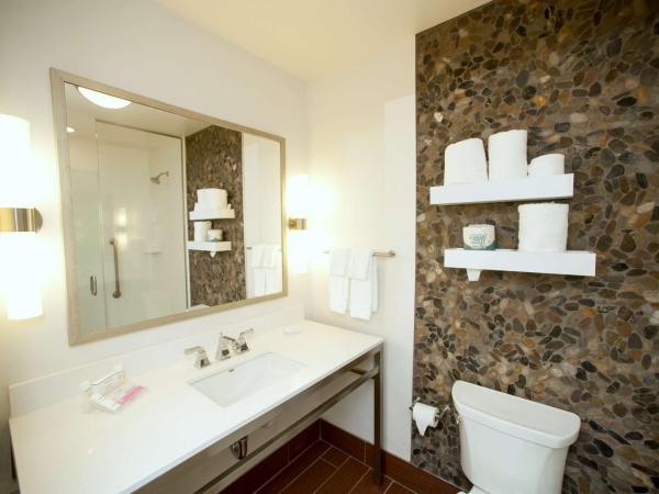 Hilton Garden Inn San Antonio-Live Oak Conference Center : photo 7 de la chambre chambre lit king-size