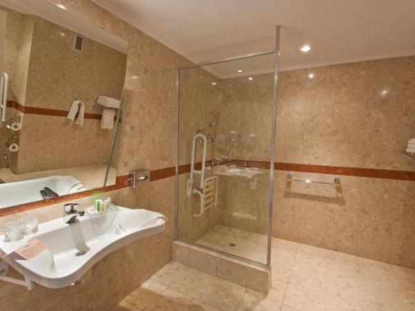 Holiday Inn Cordoba, an IHG Hotel : photo 3 de la chambre chambre lit king-size avec baignoire accessible aux personnes à mobilité réduite