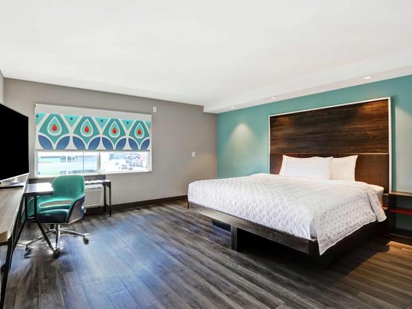 Tru By Hilton Edmonton Windermere : photo 2 de la chambre chambre lit king-size avec douche accessible en fauteuil roulant - adaptée aux personnes à mobilité réduite et aux malentendants