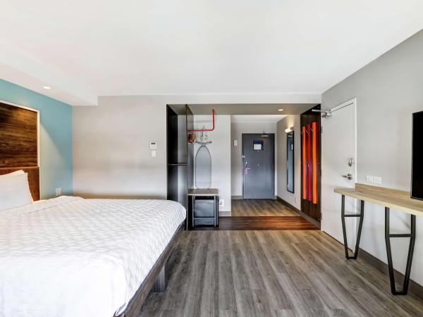 Tru By Hilton Edmonton Windermere : photo 3 de la chambre chambre lit king-size avec douche accessible en fauteuil roulant - adaptée aux personnes à mobilité réduite et aux malentendants