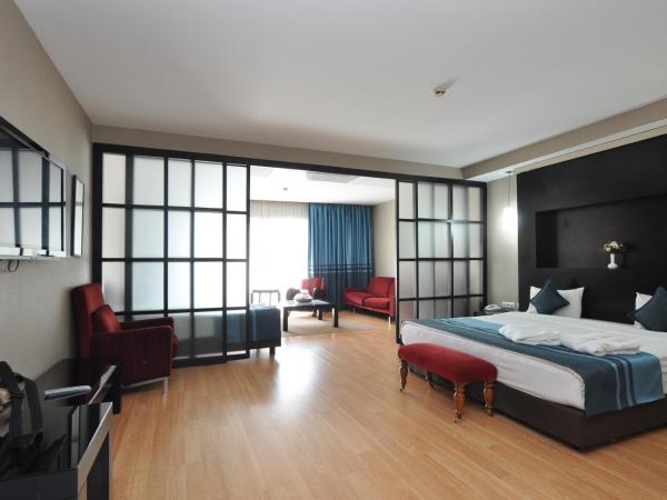 The Hotel Beyaz Saray & Spa - Special Category : photo 2 de la chambre suite familiale avec vue sur la ville