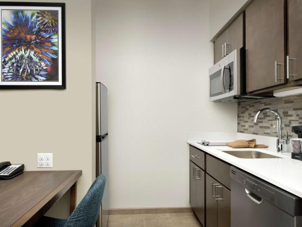 Homewood Suites By Hilton Denver Airport Tower Road : photo 3 de la chambre suite studio lit king-size - non-fumeurs