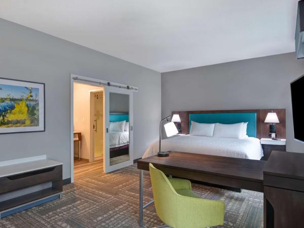 Hampton Inn & Suites Tampa Riverview Brandon : photo 4 de la chambre suite studio lit king-size - non-fumeurs