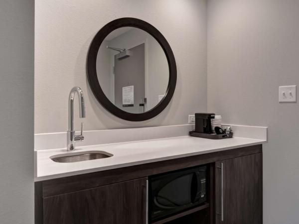 Hampton Inn & Suites Tampa Riverview Brandon : photo 6 de la chambre suite studio lit king-size - non-fumeurs