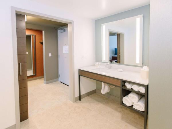 Hilton Garden Inn Winter Park, FL : photo 6 de la chambre chambre lit king-size de luxe - accessible aux personnes malentendantes 