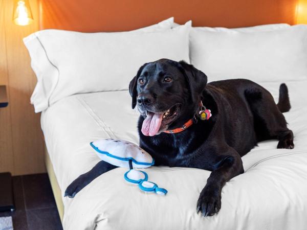 Canopy By Hilton Baltimore Harbor Point - Newly Built : photo 1 de la chambre chambre lit king-size