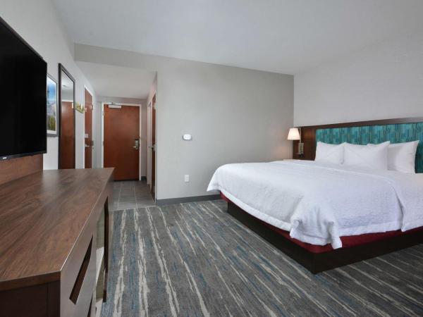 Hampton Inn & Suites Charlotte North I 485 : photo 4 de la chambre chambre lit king-size