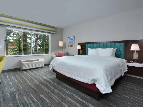 Hampton Inn & Suites Charlotte North I 485 : photo 2 de la chambre chambre lit king-size