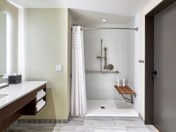 Embassy Suites by Hilton Nashville Downtown : photo 9 de la chambre studio lit king-size pour personnes à mobilité réduite avec douche accessible en fauteuil roulant