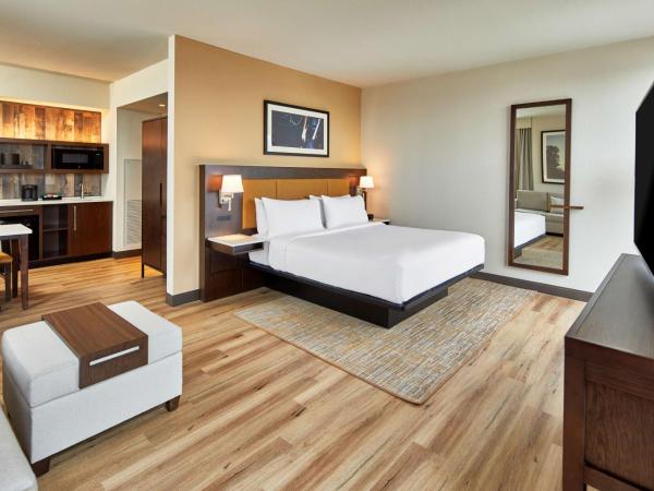 Embassy Suites by Hilton Nashville Downtown : photo 2 de la chambre studio lit king-size - vue sur ville