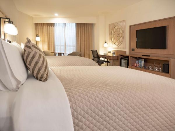 MS Milenium Monterrey Curio Collection by Hilton : photo 3 de la chambre chambre exécutive avec 2 lits doubles