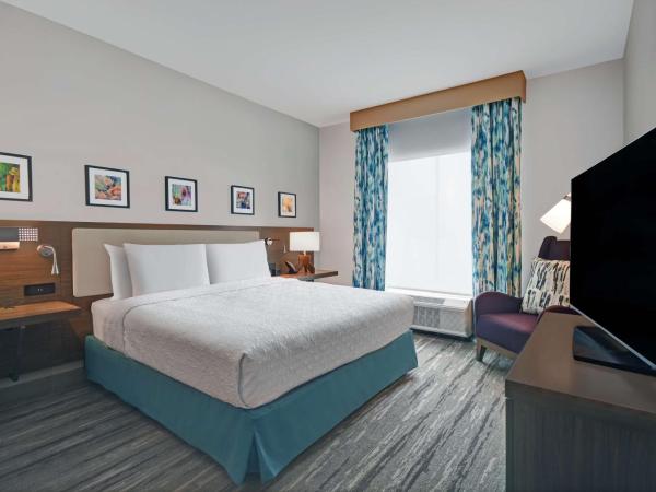 Hilton Garden Inn Houston Medical Center, TX : photo 4 de la chambre chambre lit king-size