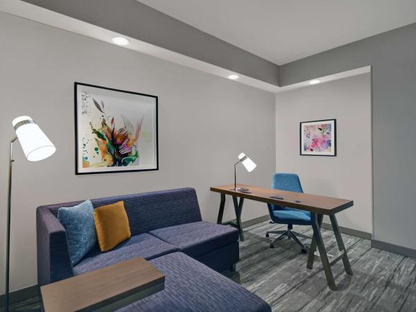 Hilton Garden Inn Houston Medical Center, TX : photo 3 de la chambre suite junior lit king-size avec coin salon