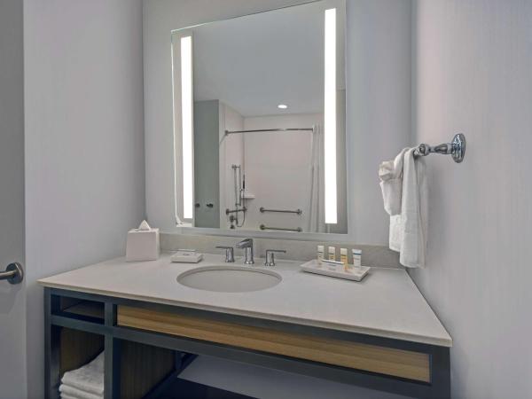 Hilton Garden Inn Houston Medical Center, TX : photo 3 de la chambre chambre lit king-size avec baignoire accessible aux personnes à mobilité réduite