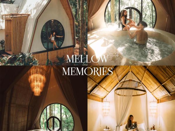 Lannawild : photo 1 de la chambre villa 2 chambres :