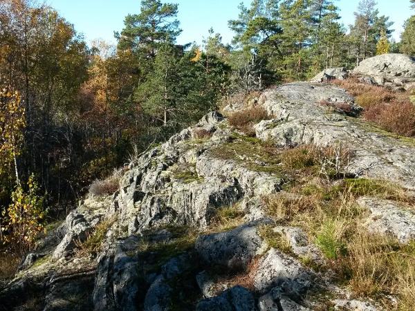 Bed&Breakfast in nature 12 min from city free bikes : photo 2 de la chambre petite chambre double