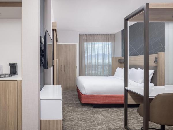 SpringHill Suites by Marriott Tucson at The Bridges : photo 3 de la chambre suite lit king-size avec lit gigogne