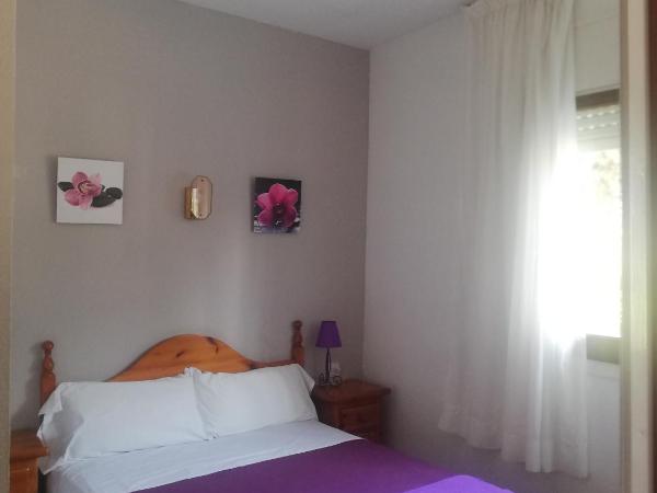 Hostal Los Pinares : photo 1 de la chambre chambre simple
