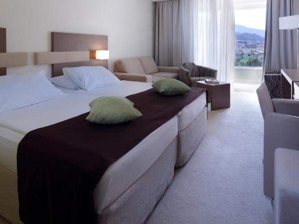 Hotel Park Makarska : photo 7 de la chambre chambre double standard avec balcon - vue sur parc