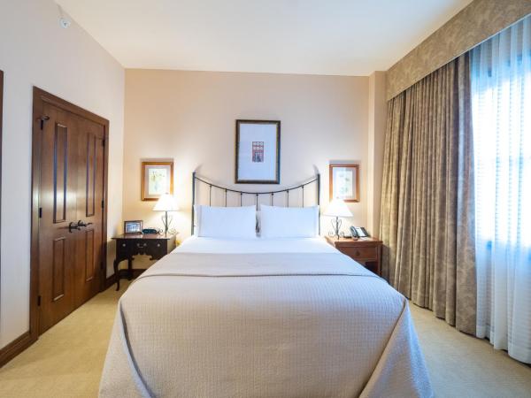 Hotel Granduca Houston : photo 2 de la chambre suite junior exécutive