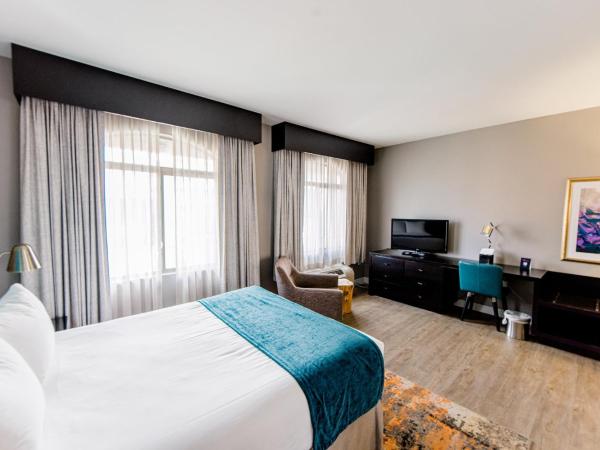 Hotel Indigo San Antonio Riverwalk, an IHG Hotel : photo 6 de la chambre chambre standard