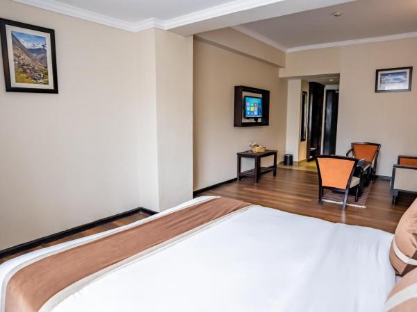 Hotel Sarowar : photo 4 de la chambre chambre Élégante suisse