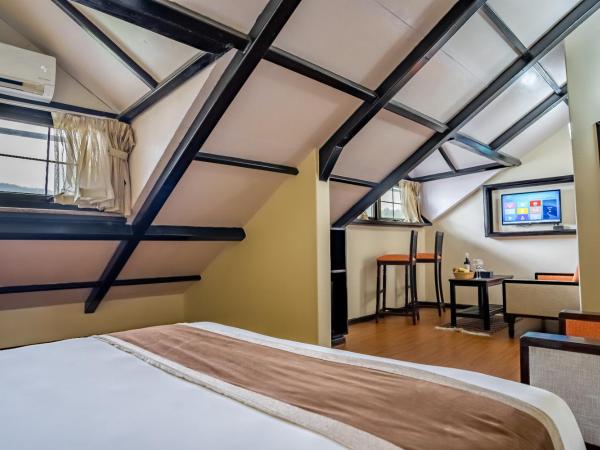 Hotel Sarowar : photo 2 de la chambre chambre Élégante suisse