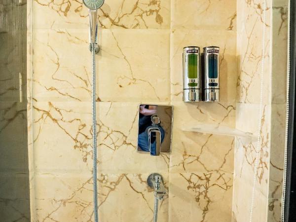 Hotel Sarowar : photo 10 de la chambre chambre supérieure lit queen-size