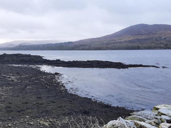 Ger's : photo 3 de la chambre chambre double avec salle de bains privative