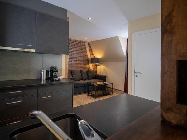 Swiss Inn & Apartments : photo 7 de la chambre appartement 2 chambres en duplex