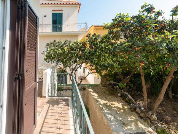 Villa dei Sogni - Aparthotel Ischia Ponte : photo 5 de la chambre appartement - vue sur jardin