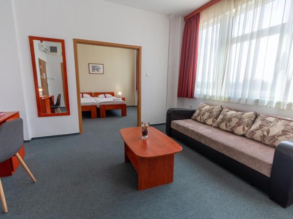 Fordan Hotel Pécs : photo 5 de la chambre chambre familiale de luxe avec canapé-lit