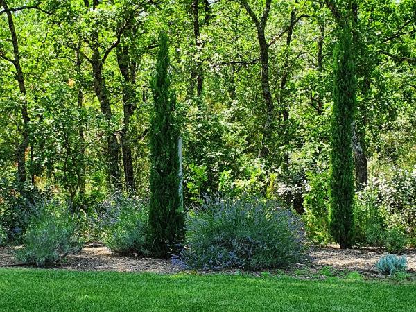 L'Instant Luberon : photo 5 de la chambre suite 1 chambre