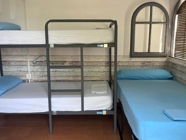 Can Cocollona : photo 2 de la chambre lit dans dortoir pour femmes de 6 lits