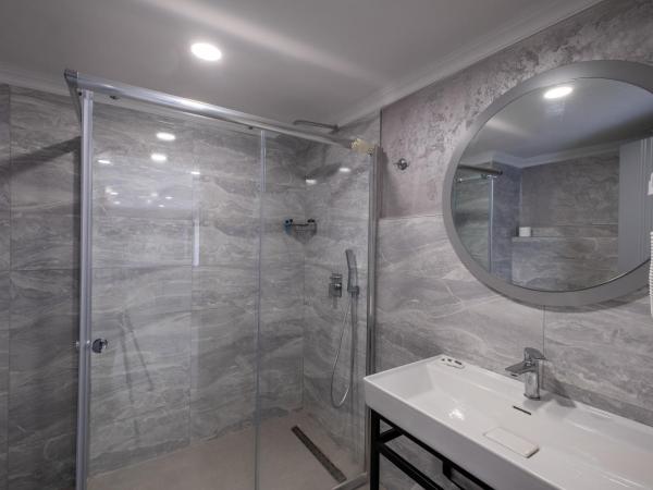 Avion Suite Hotel : photo 4 de la chambre suite avec terrasse