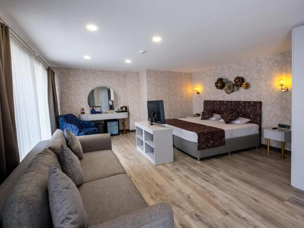 Avion Suite Hotel : photo 1 de la chambre suite avec terrasse