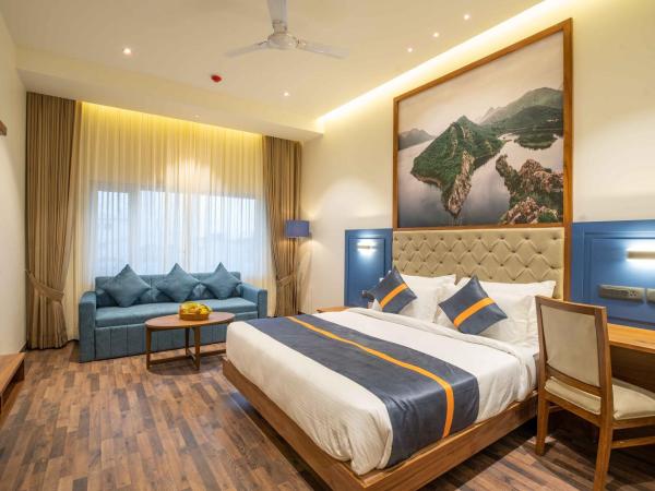 Raghu Mahal Hotel : photo 1 de la chambre chambre lit king-size