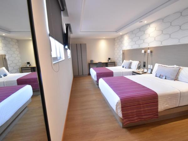 Kali Ciudadela Mexico City : photo 5 de la chambre suite junior