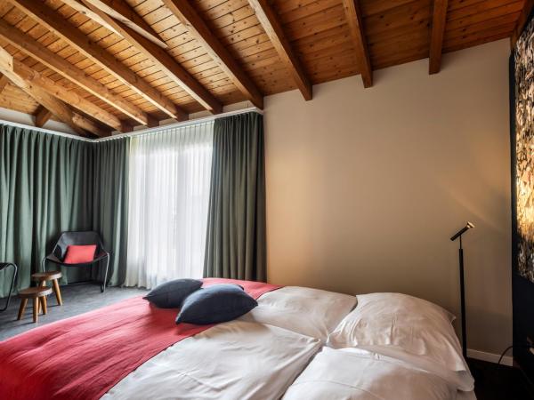 Hotel Rebstock : photo 10 de la chambre chambre double avec terrasse