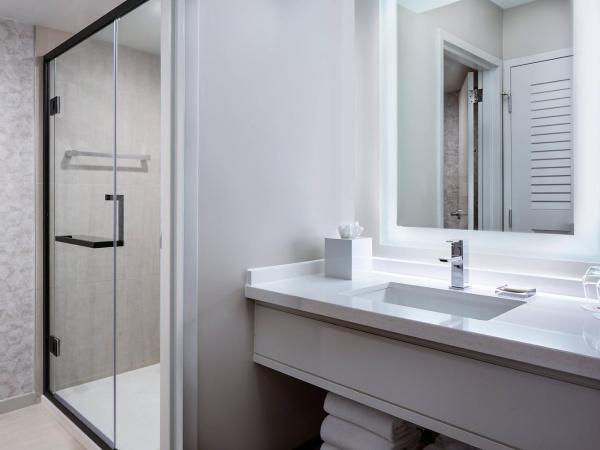 San Antonio Marriott Rivercenter on the River Walk : photo 3 de la chambre chambre lit king-size