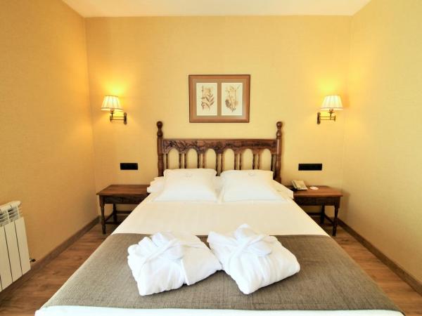 Hotel Ele Puente Romano de Salamanca : photo 1 de la chambre chambre double supérieure