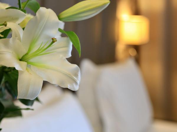 Klima Hotel Milano Fiere : photo 5 de la chambre suite