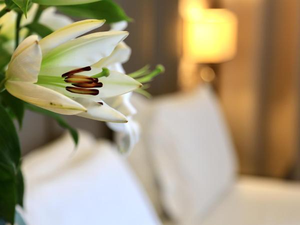 Klima Hotel Milano Fiere : photo 5 de la chambre chambre double à occupation simple