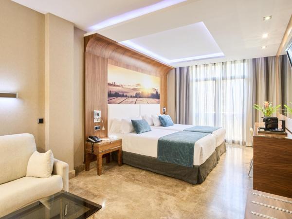 VP Jardín de Recoletos : photo 4 de la chambre chambre double ou lits jumeaux