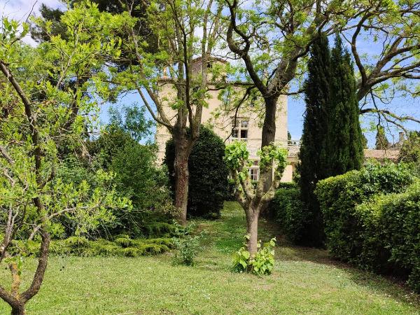 Château Saint-Martin : photo 1 de la chambre chambre double standard