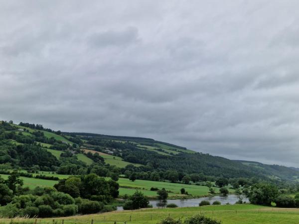 Cable Island Bed and Breakfast : photo 4 de la chambre chambre lits jumeaux standard