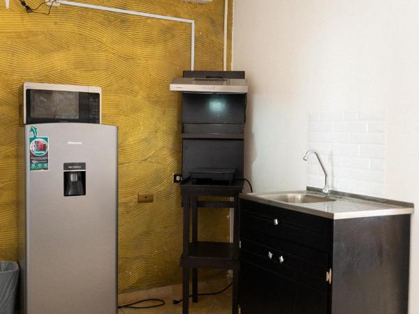 Suites Apodaca : photo 10 de la chambre chambre triple basique